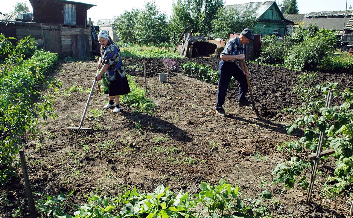 Пенсионерам участки. Садового или огородного земельного участка,. Налог на дачный участок 6 соток. Бесплатно земельный участок для пенсионеров. Пенсионер на земле.