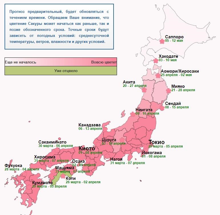 Карта цветения сакуры