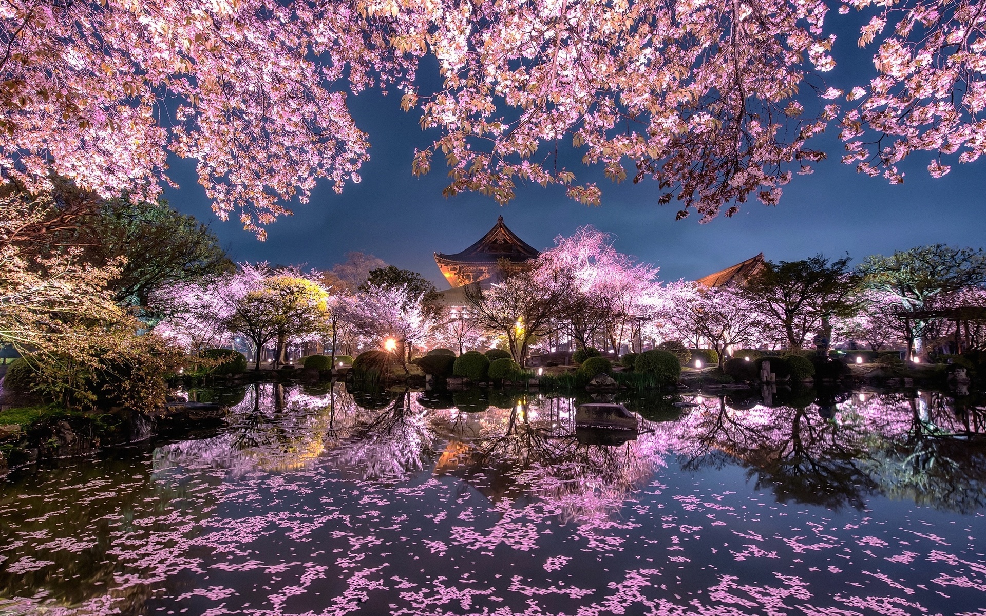 сады сакуры в японии